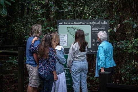 Sunshine Coast Hinterland And Noosa Day Trip From Brisbane Including Eumundi Markets And Ginger Factory - Accommodation Gold Coast 0