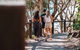 Sunshine Coast Hinterland And Noosa Day Trip From Brisbane Including Eumundi Markets And Ginger Factory - thumb 4