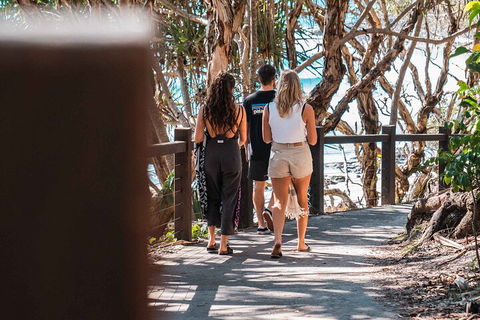 Sunshine Coast Hinterland And Noosa Day Trip From Brisbane Including Eumundi Markets And Ginger Factory - Accommodation Gold Coast 4