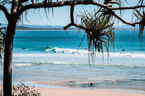 Sunshine Coast Hinterland And Noosa Day Trip From Brisbane Including Eumundi Markets And Ginger Factory - Accommodation Gold Coast 5