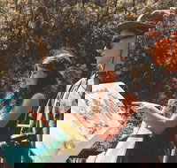 Springbrook andTamborine Rainforest Tour Incl Natural Bridge and Glow Worm Cave - 1 Gold Coast