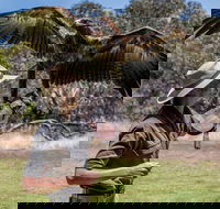 One Day Kangaroo Island Sip  See tour with return ferry transfers from Adelaide - Accommodation Gold Coast