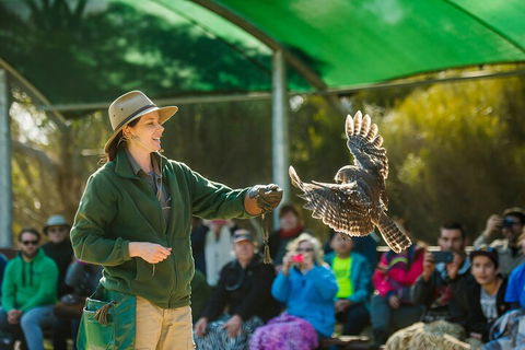 One Day Kangaroo Island Sip & See Tour With Return Ferry Transfers From Adelaide - Accommodation Gold Coast 3