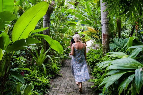 Cairns City Sights And Surrounds Tour - Accommodation Gold Coast 2