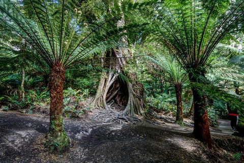 Adelaide To Melbourne 3-Day Trip Through Grampians And Great Ocean Road - Accommodation Gold Coast 0