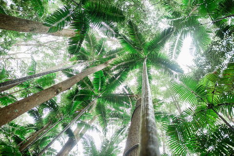 Fraser Explorer K'gari 2-Day Tour - Accommodation Gold Coast 2