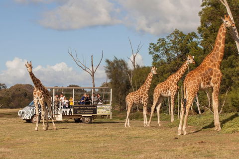 Off-Road Safari At Werribee Open Range Zoo - Accommodation Gold Coast 3