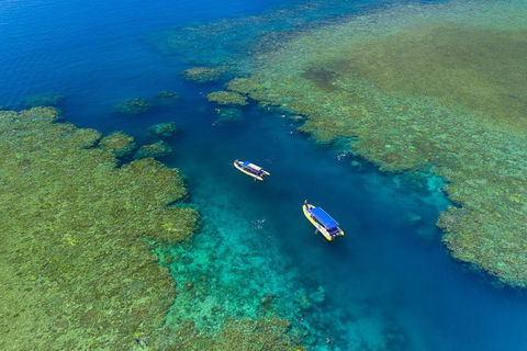 Great Barrier Reef Scenic Flight And Ocean Rafting Whitehaven Beach Day Trip - Gold Coast 4U 4