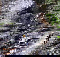 Full-Day Canyoning Experience at Stunning Empress Canyon - Accommodation Gold Coast