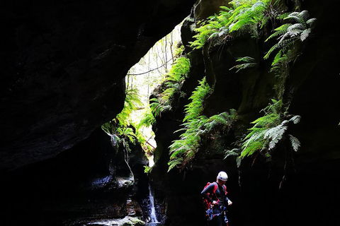 Full-Day Canyoning Experience At Stunning Empress Canyon - Accommodation Gold Coast 2
