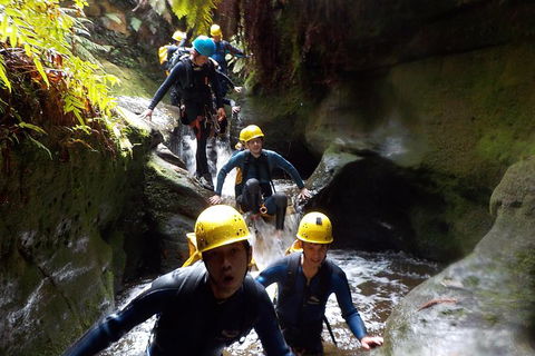 Full-Day Canyoning Experience At Stunning Empress Canyon - Accommodation Gold Coast 5
