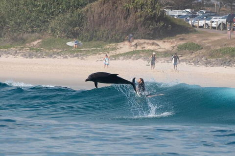 Cruise With Dolphins In Byron Bay - Accommodation Gold Coast 3