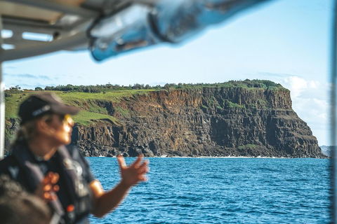 Cruise With Dolphins In Byron Bay - Accommodation Gold Coast 4