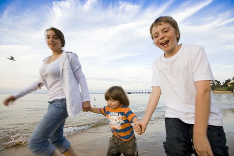 Phillip Island Penguin And Koala Highlights Day-Trip From Melbourne - Accommodation Gold Coast 0