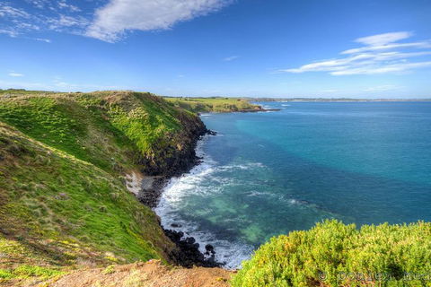 Phillip Island Penguin And Koala Highlights Day-Trip From Melbourne - Accommodation Gold Coast 5
