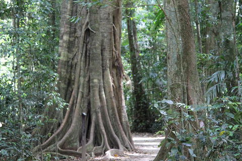 Noosa And Sunshine Coast Hinterland Day Trip From Brisbane - Accommodation Gold Coast 3