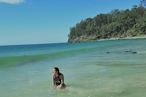 Noosa And Sunshine Coast Hinterland Day Trip From Brisbane - Accommodation Gold Coast 4