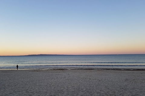 Noosa And Sunshine Coast Hinterland Day Trip From Brisbane - Accommodation Gold Coast 5