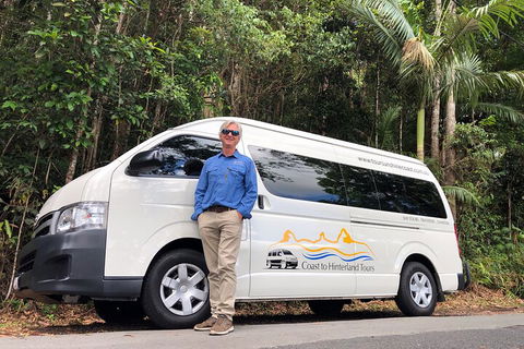 Sunshine Coast Hinterland Rainforest, Views And Montville Day Tour Inc. Lunch - Accommodation Gold Coast 1