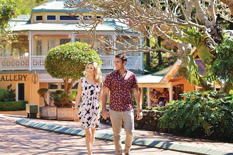 Sunshine Coast Hinterland Rainforest, Views And Montville Day Tour Inc. Lunch - Accommodation Gold Coast 4