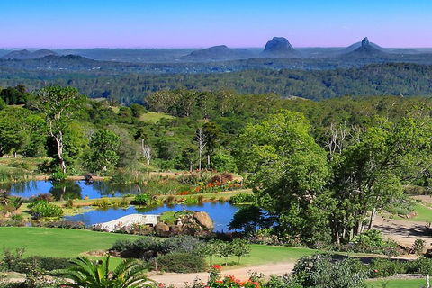 Sunshine Coast Hinterland Rainforest, Views And Montville Day Tour Inc. Lunch - Accommodation Gold Coast 5