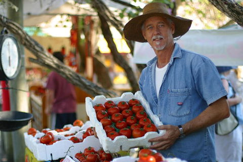 Sunshine Coast Eumundi Markets Return Minibus Transfer - Accommodation Gold Coast 5