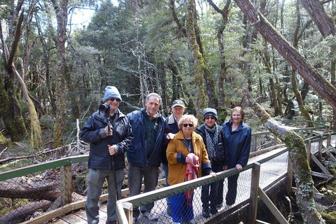 Blue Mountains Private Tour With Wildlife Park And River Cruise - Accommodation Gold Coast 2