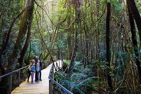 Blue Mountains Private Tour With Wildlife Park And River Cruise - Accommodation Gold Coast 4
