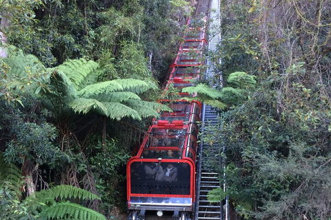 Blue Mountains Private Full-Day Tour From Sydney With Cruise - Accommodation Gold Coast 5