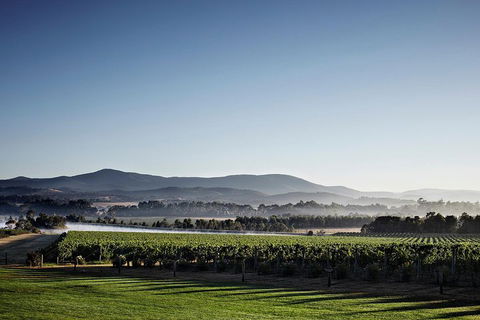 Chauffeur Driven Yarra Valley Group Wine Tour - Up To 7 - Accommodation Gold Coast 2