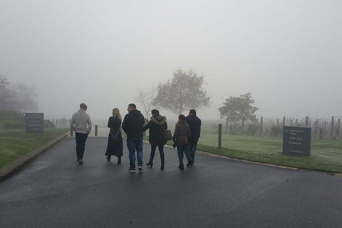 Chauffeur Driven Yarra Valley Group Wine Tour - Up To 7 - Accommodation Gold Coast 4