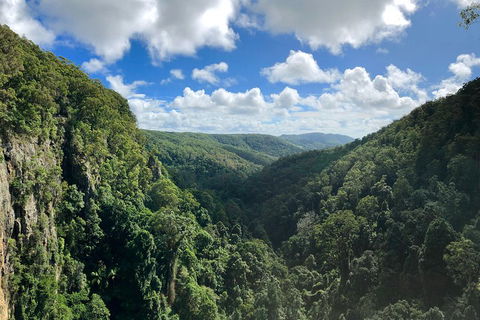 Springbrook Full Day Tour - Accommodation Gold Coast 1