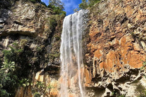 Springbrook Full Day Tour - Accommodation Gold Coast 2