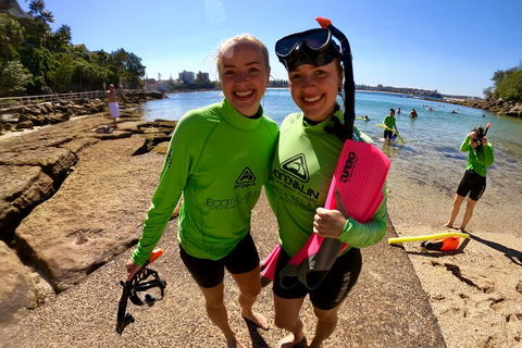 Manly Snorkel Trip And Nature Walk With Local Guide - Accommodation Gold Coast 1