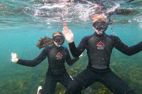 Manly Snorkel Trip And Nature Walk With Local Guide - Accommodation Gold Coast 3