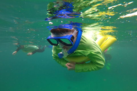Manly Snorkel Trip And Nature Walk With Local Guide - Accommodation Gold Coast 5