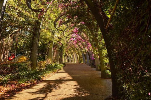Brisbane Scavenger Hunt: Brisbane's South Bank! - Accommodation Gold Coast 3
