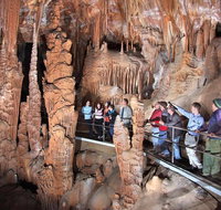 Private Tour Jenolan Caves  Blue Mountains in a day - Accommodation Gold Coast