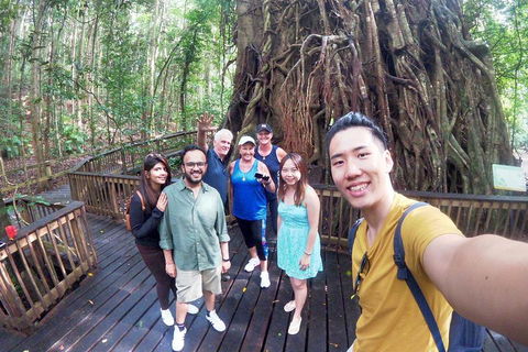 Barron Gorge And Kuranda National Park Half Day Rainforest And Waterfall 4WD Tour From Cairns - Accommodation Gold Coast 5