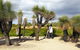 1 Day Exclusively Private Tour Of Phillip Island & The Penguin Parade - thumb 0