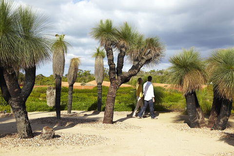 1 Day Exclusively Private Tour Of Phillip Island & The Penguin Parade - Accommodation Gold Coast 0