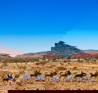Alice Springs Camel Tour - Accommodation Gold Coast