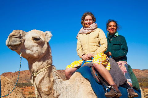 Alice Springs Camel Tour - Accommodation Gold Coast 3