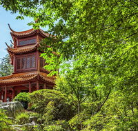 Chinese Garden General Admission Ticket - Accommodation Gold Coast
