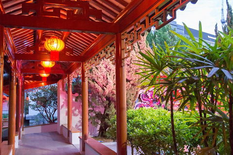 Chinese Garden General Admission Ticket - Accommodation Gold Coast 4