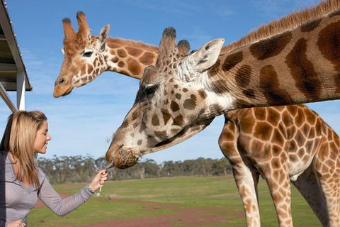 Melbourne City Card (2 Days): Visit Unlimited Attractions! - Accommodation Gold Coast 1