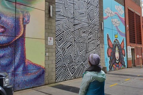 Jimmy C Street Art Walking Tour - Accommodation Gold Coast 2