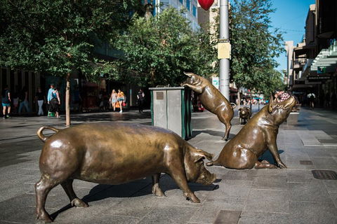 Guided Walking Tour In Adelaide - Accommodation Gold Coast 4