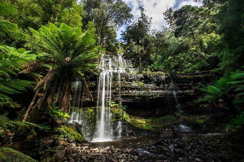 3-Day Tour To The Falls, Mountains, Lake & More Of West Coast Tasmania - Accommodation Gold Coast 4