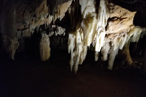 The Pinnacle Adventure Tour - Gold Coast 4U 0